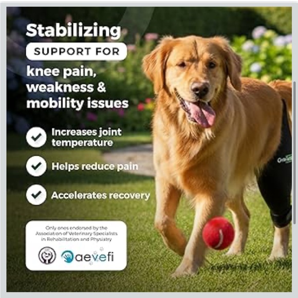 Ortocanis Dog Knee Brace For Hind Leg Support
- Flexible Neoprene Knee Brace - Picture 2 of 9